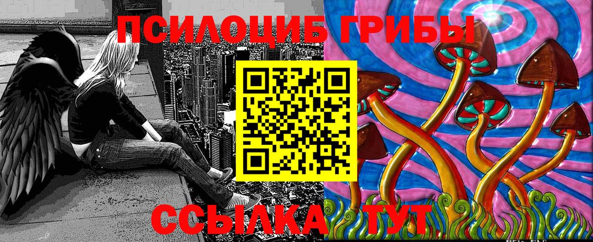 Псилоцибиновые грибы GOLDEN TEACHER Гусиноозёрск